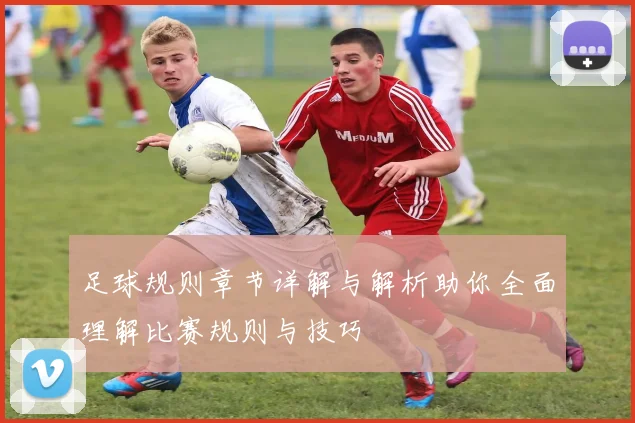 足球规则章节详解与解析助你全面理解比赛规则与技巧