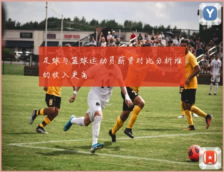 足球与篮球运动员薪资对比分析谁的收入更高