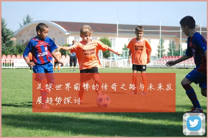 足球世界前锋的传奇之路与未来发展趋势探讨