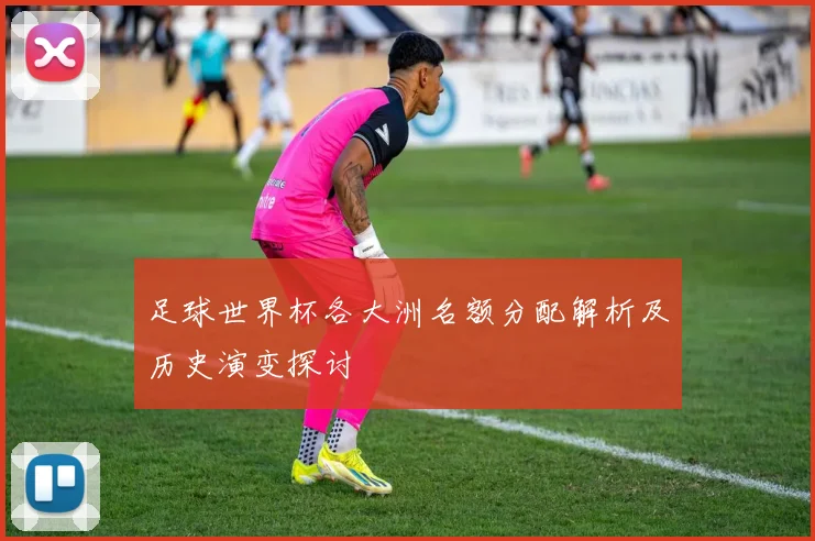 足球世界杯各大洲名额分配解析及历史演变探讨