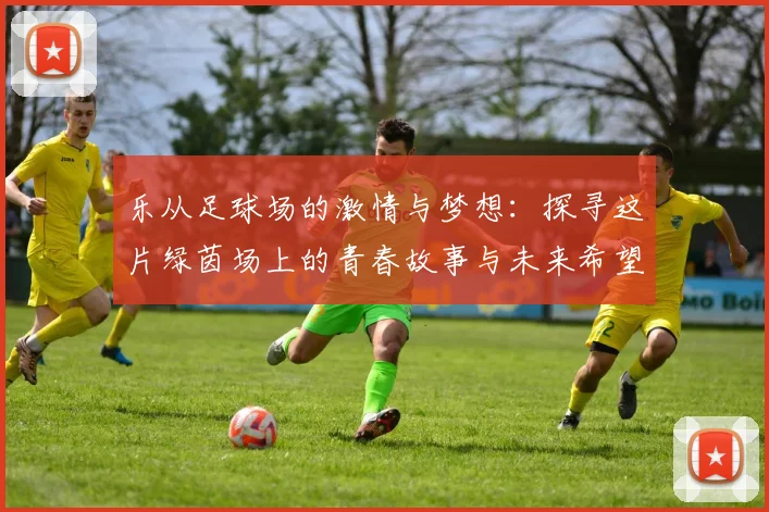 乐从足球场的激情与梦想：探寻这片绿茵场上的青春故事与未来希望